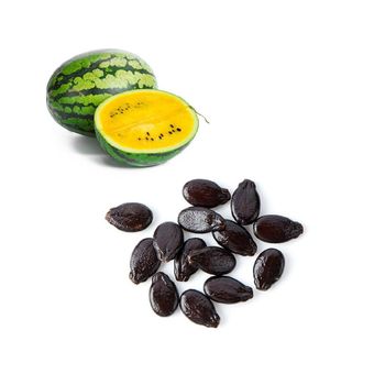 High grade watermelon seeds ready for shipment in bulk orders from Medcompex Gmbh High grade watermelon seeds ready for shipment in bulk orders - Medcompex Gmbh - United Kingdom