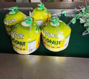 Fresh Coconut - EASY TO OPEN - FOSACHA JOINT STOCK COMPANY - Vietnam