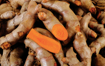 Fresh Turmeric -  BS International  - India