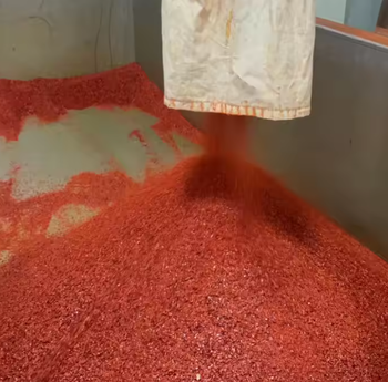 Dried Chilli Pepper - PT HARMONI PRATAMA - Indonesia