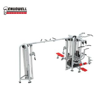 Rehabilitation Ready Iron Strength Platform Designed for Clinics Hospitals and Wellness Centers Rehab Fitness Equipment - Shandong Denuo Fitness Equipment Co., Ltd. - China