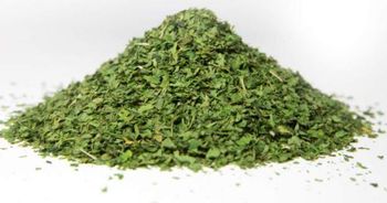 Parsley Flakes - Herbs Land Trading - Egypt