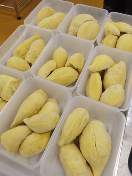 Frozen Durian Meat 454 G from Smart Fruits and foods Company Limited Frozen Durian Meat 454 G - Smart Fruits and foods Company Limited - Thailand
