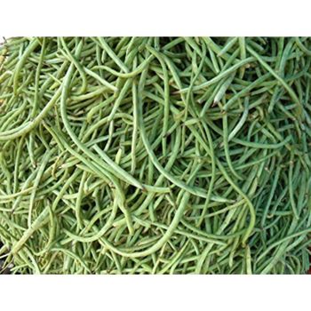 Indian Black Eyed Cow Pea polo beans fresh vegetable for top sale at good discounted price By Air in customize Packing - MN GLOBAL IMPEX - India