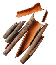 cinnamon Form Pieces Features Organic, Without Additives - Tejarat Enterprises - Pakistan