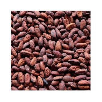 Cocoa Beans 100% Natural | Grade a | 10kg | Cocoa Beans - smgsparkgloballimited - Nigeria