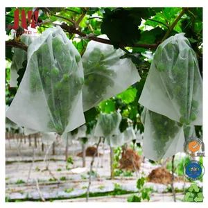 Agricultural Products PP Nonwoven Banana Fruit Protection Bag - Quanzhou Jiewei Nonwoven Products Co., Ltd - China