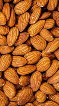 Almond Nuts - BF GLOBAL TRADING (PTY) LTD - South Africa