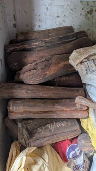 Pterocarpus santalinus wood logs Minimum Order Quantity 25 Tonnes Delivery Time 6 Months From The Date Of Purchase Order - SRI HARE RAMA HARE KRISHNA INDUSTRIES - India