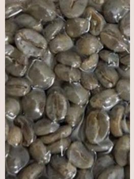Arabica Green Bean - PT. PUNTANG SEMESTA UTAMA - Indonesia