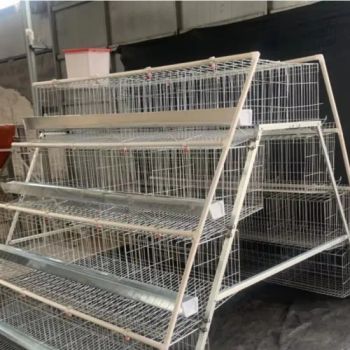 Hot Sale Poultry Farm Equipment Laying Hens Cage a Type - Anping Cowan Wire Mesh & Machines Co., Ltd - China