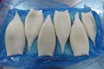 Frozen Cleaned Squid Tube - Yantai Snowa Foods Co., Ltd - China