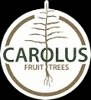 Product - CAROLUS TREES - Belgium