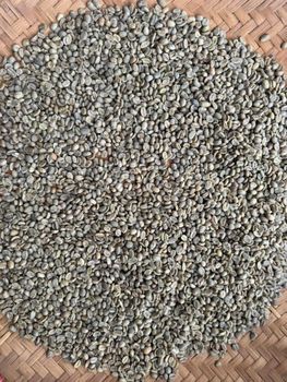 green bean robusta grade 1 full wash - rajarempahhamonangan - Indonesia