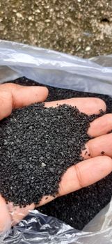 Coconut Shell Carbon Active - PT. PAN AGRO SEJAHTERA - Indonesia