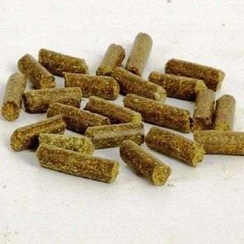 Herbal Food Products for Animals Grade "A"Grade Brand Name Grenera Packaging Fibre Drums Type Moringa Herbal Foods Place of Origin Tamil Nadu, - GRENERA NUTRIENTS PRIVATE LIMITED - India