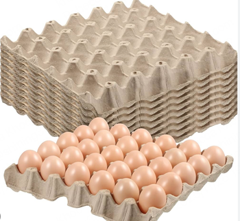 fresh eggs - Blue Phoenix Agriculture Development Co., Ltd - China