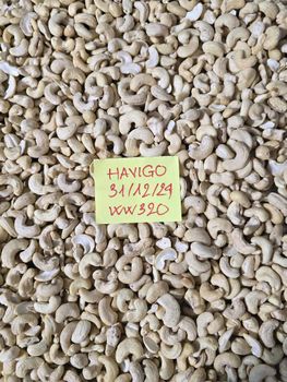 Cashew Nuts