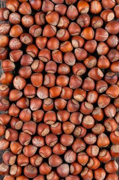 Bulk Roasted Raw Peel Inshell Hazelnuts Kernels Without Shell Hazelnut Nut Price - PLANETE COMMERCE - France