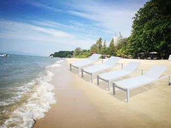 China Without Armrest Darwin Wrapped Paper/ Carton Box Lounges Pool Chaise Lounge - Foshan Darwin Furniture Co., Ltd. - China