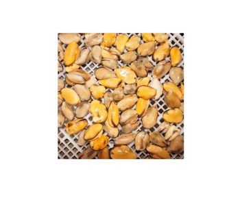 mussel Style FROZEN Weight (kg) 1 Address China Packaging Bulk Content MUSSEL Ingredients none Storage Type Frozen Shelf Life - Qingdao Seaflying Food Co., Ltd. - China