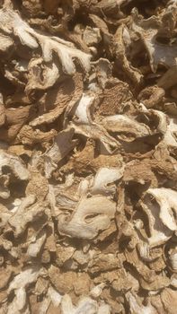 Premium Dried Ginger – Whole, Sliced & Powder | Organic & High-Quality Spice - THE GREEN INTERNATIONAL LIMITED - Tanzania