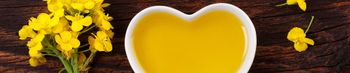 Canola Oil from Parallel Energy Canola Oil - Parallel Energy - United States