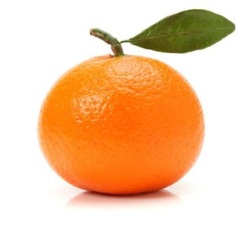 Fresh Mandarin Naturally Ripened Citrus Fruit For International Buyers Featuring Bright Color Excellent Texture And Taste - TOSOH INTERNATIONAL - South Africa