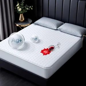 Premium Hypoallergenic Queen Mattress Protector - Soft, Waterproof & Durable - Hangzhou Yiying Trade Co., Ltd. - China