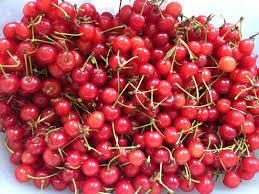 Wholesale Fresh Sour Cherry Fruit Grade A Pricing Best Price Shelf Life 2 YEARS - Thai Agri Company - Thailand