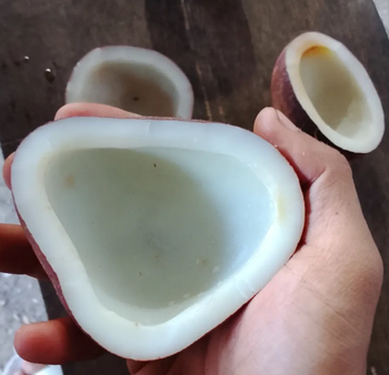 Copra Edible Grade - Half Cut  Moisture 5% ,Oil Content 64%-65% - Marcona Karenindo Synergi - Indonesia