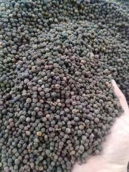 Black Pepper from PT Nuvi Global Perkasa Black Pepper – product photo, Dehydrated Black Pepper products found from trusted suppliers, wholesalers, manufacturers & exporters Listing