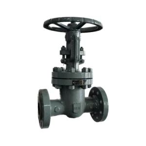 GOST Design Flanged Wcb Gate Valve Handwheel Operated Rising Stem DN300 Pn16 - Wenbao Valve Co., Ltd. - China
