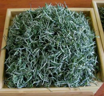 Gift Tea Yunnan Si Mao Chun Hao Green Slimming Tea - Hunan Shine Wing Tea Co., Ltd. - China