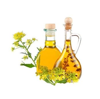 Premium Quality Refined Rapeseed Oil / Canola Oil / Crude rapeseed oil Bulk Stock At Wholesale Cheap Price - Exigentelaxia Unipessoal Lda - Portugal