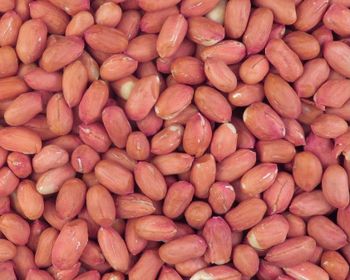 Peanut Kernels Raw– Turkish Origin, Premium Quality - Navser International Trading - Turkey