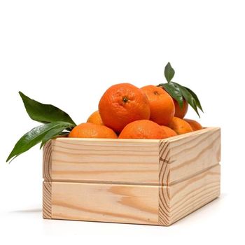 Fresh Mandarin Naturally Grown Citrus Fruit Offering Consistent Freshness Excellent Shape And Superior Eating Experience - TOSOH INTERNATIONAL - South Africa