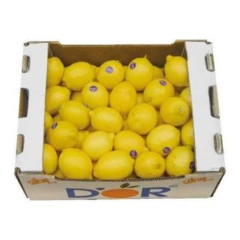 Fresh Azerbaijani Lemons - Goicha LLC - Azerbaijan