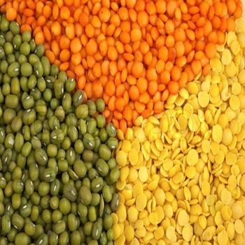 Affordable Red Lentils Whole Premium Quality Lentils Cheap Wholesale Options from A.C.P. AGRICULTURE COMPANY LIMITED Affordable Red Lentils Whole Premium Quality Lentils Cheap Wholesale Options - A.C.P. AGRICULTURE COMPANY LIMITED - Thailand