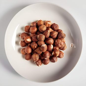Bulk Premium Hazelnuts Fresh Roasted Natural Snack Wholesale Healthy Supply Ideal for Retailers Wholesalers and Export - PILOTEXPORT IMPORT AND EXPORT LTD - South Africa