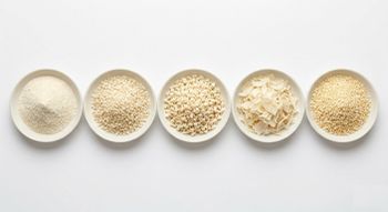 TRUSTED Quality Dehydrated Garlic Flakes, MINCED, CHOPPED, POWDER, 7% MAX MOISTURE from Cresta Foods TRUSTED Quality Dehydrated Garlic Flakes, MINCED, CHOPPED, POWDER, 7% MAX MOISTURE - Cresta Foods - India