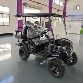 Wintao Electric Golf Cart Trolley Golf Equipment 4 Seat Golf Cart - Suzhou Wintao Intelligent Technology Co., Ltd. - China