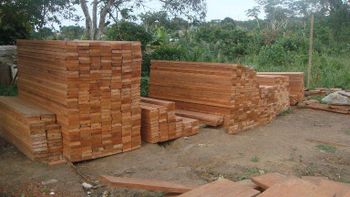 Bubinga Type Timber Port Douala Shape planks Packaging container Max. Moisture (%) 16 Place of Origin Cameroon Diameter Range 70cm To - Savanna Woods - Cameroon