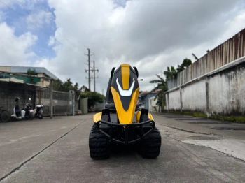 Electric Snowmobile Tracked Vehicle Unique ATV - Luckyram Technology Co., Ltd - China