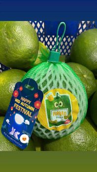 Vietnam Fresh Pomelo – Da Xanh/ Vietnamese grapefruit | Export Quality Supplier - SAIGON VG - Vietnam