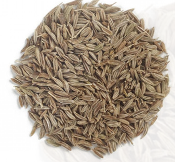 INDIAN CUMIN SEEDS 99% PURE, MACHINE CLEANED, GOOD QUALITY, NEW CROP – 2025, ORIGIN-INDIA - Jewar Organic - India
