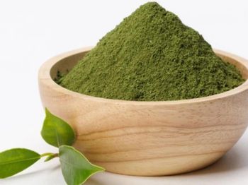 Moringa Powder Texture Powder Source Dried Leaves Of The Moringa Oleifera Tree Primary Use Promotes Vitality, Digestion, And General - HOTTIP INDIA EXIM - India