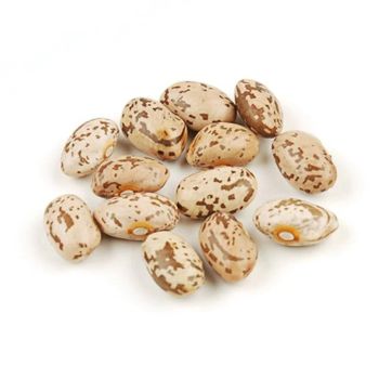 Protein Dried Pinto Beans Available In Export Packs With Natural Processing And Authentic Farm Origin - malter group - Tanzania