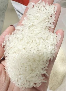 VIETNAM Premium Jasmine Rice  Grade 1 Shelf Life 2 years Packaging 1kg -50kg Max. Moisture (%) - RAT Rice Asia Trade - Vietnam
