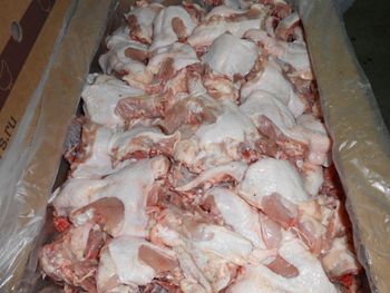 High Grade Halal Frozen Chicken Backs at Competitive Prices - Mutlu Et Mustafa - France